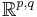 \mathbb{R}^{p,q}