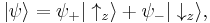  | \psi \rangle = \psi_%2B | \uparrow_z \rangle %2B \psi_{-} | \downarrow_z \rangle , 