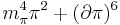 m_{\pi}^4 \pi^2 %2B (\partial \pi)^6