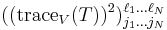 ((\operatorname{trace}_{V}(T))^2)_{j_1 \dots j_N }^{\ell_1 \dots \ell_N} 