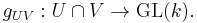 g_{UV}:U\cap V\to \operatorname{GL}(k).