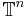 \mathbb{T}^n