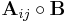 \mathbf{A}_{ij} \circ \mathbf{B}