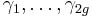 \gamma_1, \dots, \gamma_{2g}