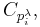 C_{p^\lambda_i},