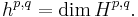  h^{p,q} = \dim H^{p,q}.\, 