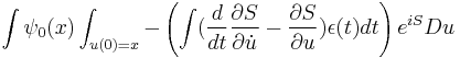 
\int \psi_0(x) \int_{u(0)=x} -\left( \int ({d\over dt} {\partial S\over \partial \dot{u}} - {\partial S \over \partial u})\epsilon(t) dt \right) e^{iS} Du
\,