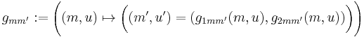 
  g_{mm'}:=\Bigg((m,u)\mapsto \bigg((m',u')=\big(g_{1mm'}(m,u),g_{2mm'}(m,u)\big)\bigg)\Bigg) \, 
