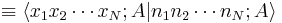 \equiv \lang x_1 x_2 \cdots x_N; A | n_1 n_2 \cdots n_N; A \rang