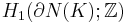 H_1(\partial N(K);\mathbb{Z})