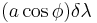 (a\cos\phi)\delta\lambda