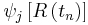 \psi _{j}\left[ R\left( t_{n} \right) \right]