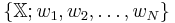 \{ \mathbb{X}�; w_1, w_2, \dots, w_N\}