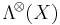 \mathrm{\Lambda}^{\!\otimes}\! \left( X \right)