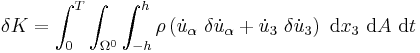 
   \delta K = \int_0^T \int_{\Omega^0} \int_{-h}^h \rho \left(
      \dot{u}_\alpha~\delta\dot{u}_\alpha %2B \dot{u}_3~\delta\dot{u}_3\right)
    ~\mathrm{d}x_3~\mathrm{d}A~\mathrm{d}t
