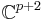 \mathbb{C}^{p%2B2}