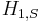 H_{1,S}