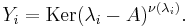 \; Y_i = \operatorname{Ker} (\lambda_i - A)^{\nu(\lambda_i)}.