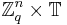 \mathbb{Z}_q^n \times \mathbb{T}