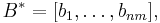 B^* = [b_1, \ldots, b_{nm}] ,