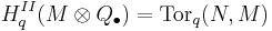 H^{II}_q(M \otimes Q_\bull) = \mbox{Tor}_q(N,M)