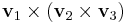 \bold{v}_1\times\left( \bold{v}_2\times\bold{v}_3 \right)