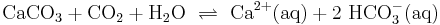 \mathrm{CaCO_3 %2B CO_2 %2B H_2O \ \rightleftharpoons \ Ca^{2%2B} (aq) %2B 2 \ HCO_3^- (aq)} 