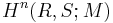  H^n(R,S;M)