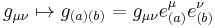 g_{\mu \nu} \mapsto g_{(a)(b)} = g_{\mu \nu} e_{(a)}^{\mu} e_{(b)}^{\nu}