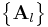 \big\{\mathbf{A}_{l}\big\}