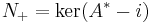  N_%2B = \operatorname{ker}(A^*-i)