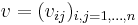 v = (v_{ij})_{i,j = 1,\dots,n}