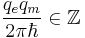 \frac{q_e q_m}{2 \pi \hbar} \in \mathbb{Z}