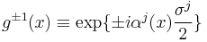 g^{\pm 1}(x)\equiv\exp\{\pm i\alpha^j(x)\frac{\sigma^j}{2}\}