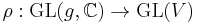 \rho:\textrm{GL}(g,\mathbb{C}) \rightarrow \textrm{GL}(V)