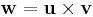  \mathbf{w} = \mathbf{u} \times \mathbf{v}