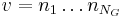 v=n_1\ldots n_{N_G}