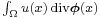 \scriptstyle \int_\Omega u(x)\,\mathrm{div}\boldsymbol{\phi}(x)