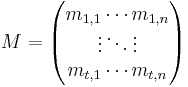 M =
\begin{pmatrix} m_{1,1}        \cdots    m_{1,n} \\  \vdots      \ddots    \vdots  \\ m_{t,1}       \cdots    m_{t,n} \end{pmatrix}