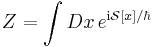 Z = \int Dx\, e^{{\rm i}\mathcal{S}[x]/\hbar}