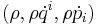 (\rho, \rho\dot{q}^i,\rho\dot{p}_i)