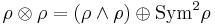 \rho \otimes \rho = \left(\rho \wedge \rho \right) \oplus \textrm{Sym}^2 \rho