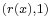 \scriptstyle (r(x), 1)\,