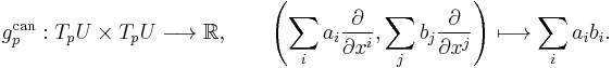 g^{\mathrm{can}}_p�: T_pU\times T_pU\longrightarrow \mathbb R,\qquad \left(\sum_ia_i\frac{\partial}{\partial x^i},\sum_jb_j\frac{\partial}{\partial x^j}\right)\longmapsto \sum_i a_ib_i.