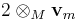 2 \otimes_M \mathbf{v}_m