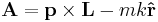  
\mathbf{A} = \mathbf{p} \times \mathbf{L} - m k \mathbf{\hat{r}}
