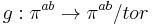 g: \pi^{ab} \to \pi^{ab}/tor