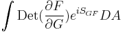  \int \mathrm{Det}({\partial F\over \partial G})e^{iS_{GF}} DA \,