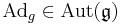 \textrm{Ad}_g\in\textrm{Aut}(\mathfrak{g})