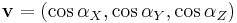 \mathbf{v}=(\cos \alpha_X,\cos \alpha_Y,\cos \alpha_Z)